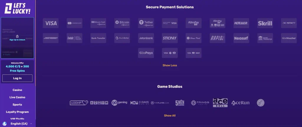 Payment Methods: Interac, Credit Cards & Crypto